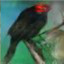 Autogenerated image of a bird from a Grounded GAN model